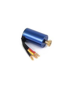 Brushless 3000kV motor