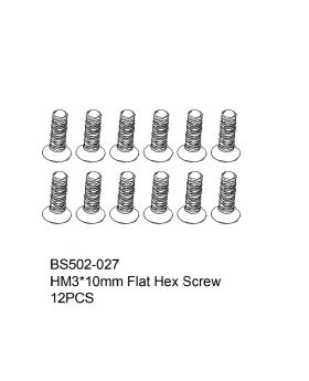 HM3x10mm Flat Hex Screw   12PCS