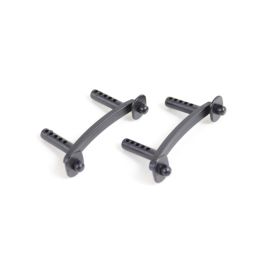 Body mount