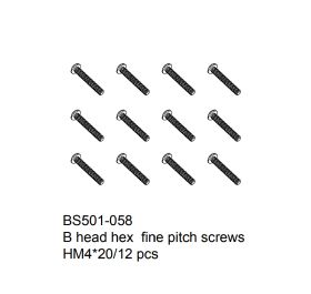 B head hex fine pitch screws HM4x20 12pcs