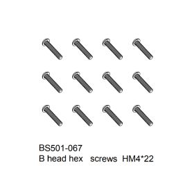 B head hex screws HM4x22