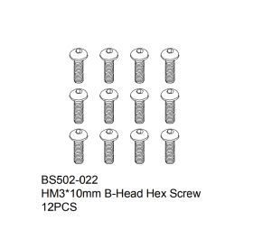 HM3x10mm B-Head Hex Screw 12PCS