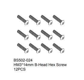 HM3x14mm B-Head Hex Screw 12PCS