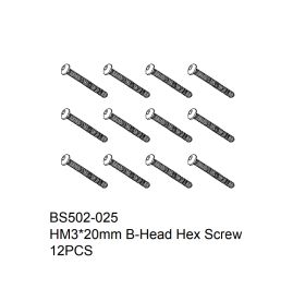HM3x20mm B-Head Hex Screw 12PCS
