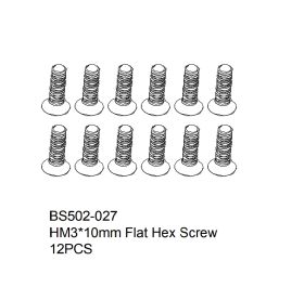 HM3x10mm Flat Hex Screw 12PCS