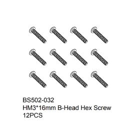 HM3x16mm B-Head Hex Screw 12PCS
