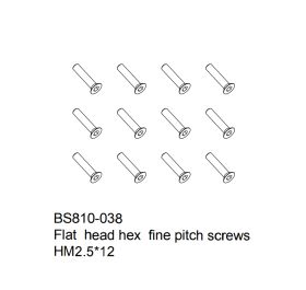 Flat head hex fine pitch screws HM2.5x12