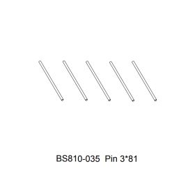 Pin 3x81