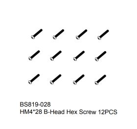 HM4x28 screw 12PCS