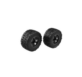 Assembled Wheel Set (2)