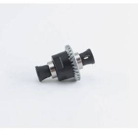 Differential Assembly